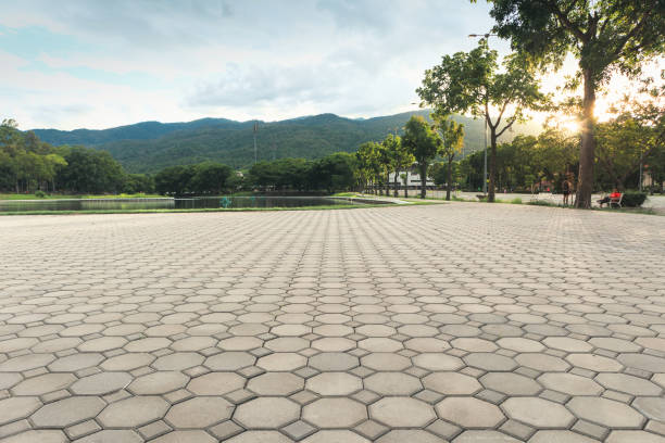 Best Brick Driveway Pavers  in Gainesville, TX