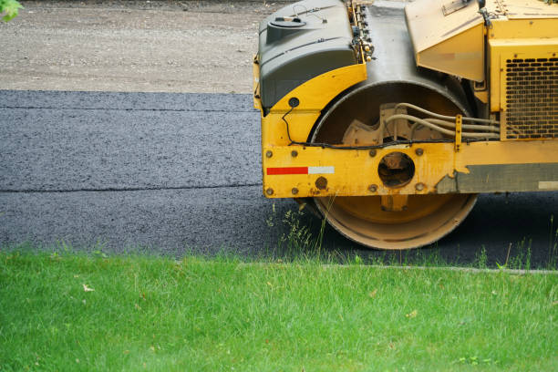 Best Local Driveway Pavers  in Gainesville, TX